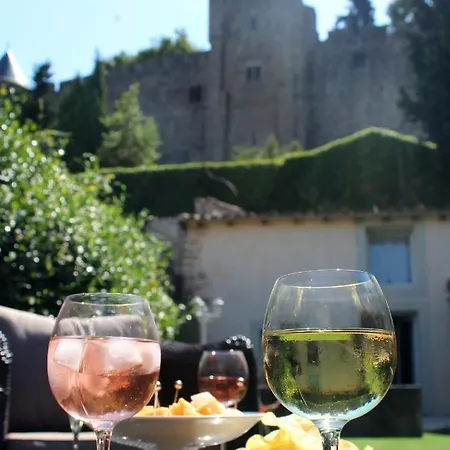 Le Petit Chai Niche Sous La Cite, Carcasona Exterior foto